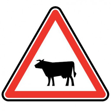 Panneau Passage d'animaux domestiques - vache - A15a1